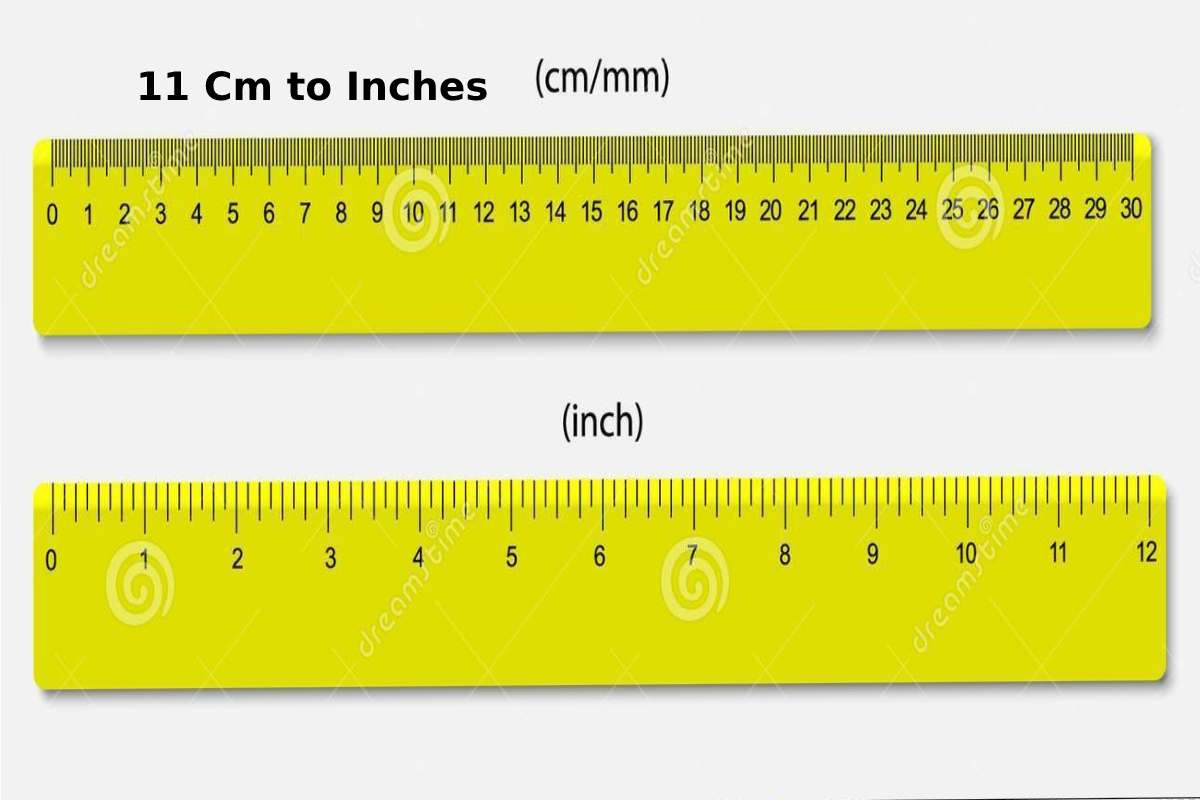 11 Cm To Inches 11 Centimeter To Inches 